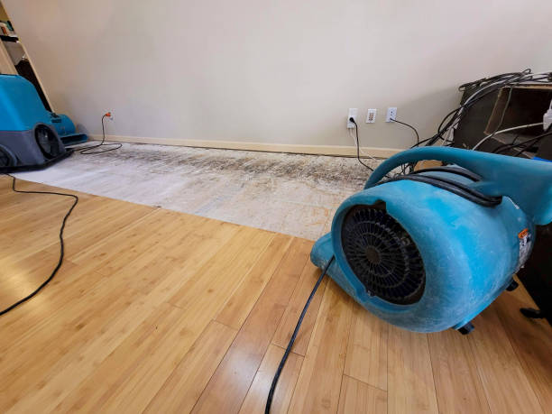 Professional Water Damage Repair technician working in Crescent, IA