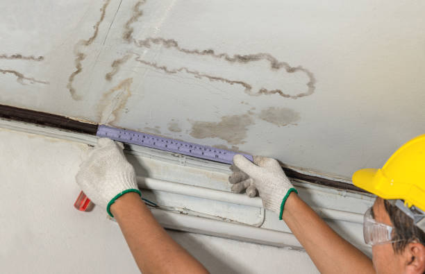 Affordable Water Damage Repair solutions in Crescent, IA